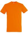 11380 Regent T-shirt Orange colour image